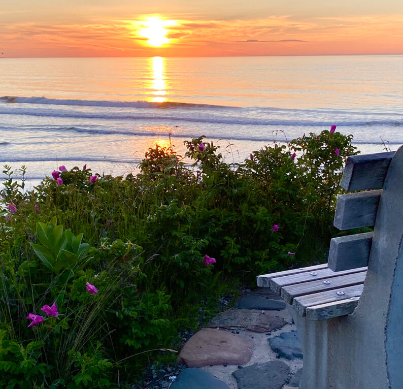 Bench, Marginal Way face beach