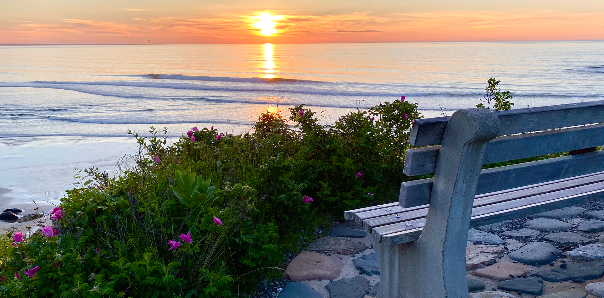 Bench, Marginal Way face beach