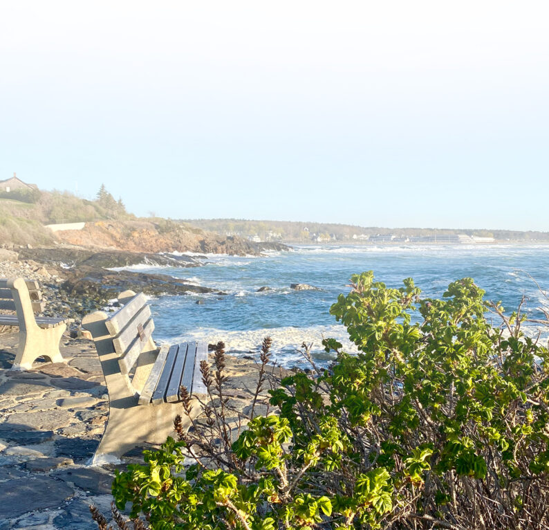 Bench, Marginal Way