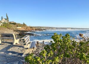 Bench, Marginal Way face beach